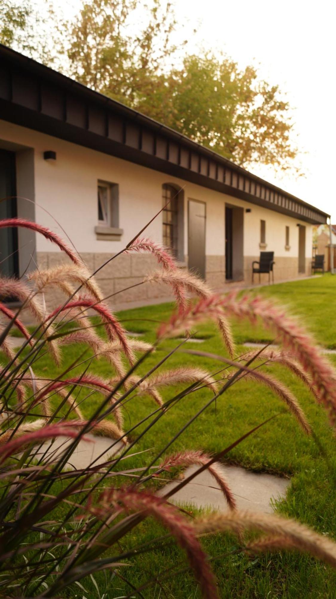 Remise Brasch - Zwischen Bahnhof Und Elbe Apartment Wittenberge Ngoại thất bức ảnh